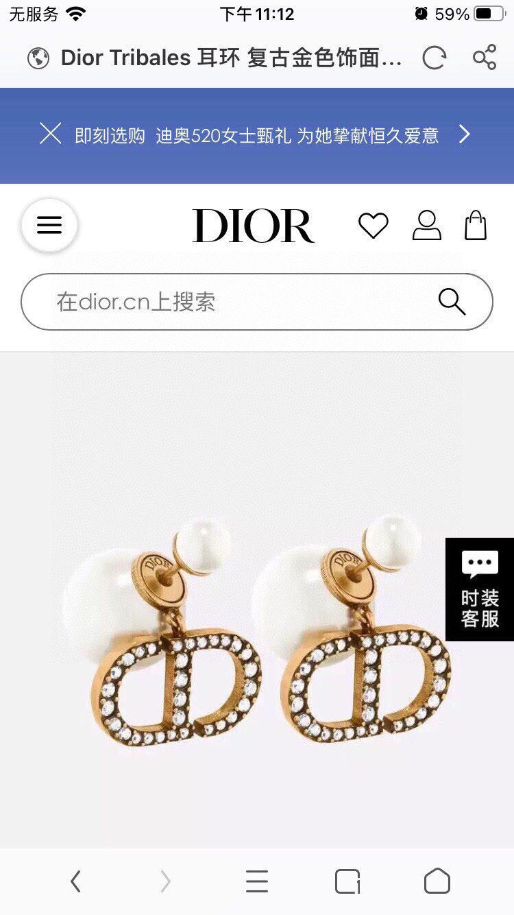 Christian Dior Earrings